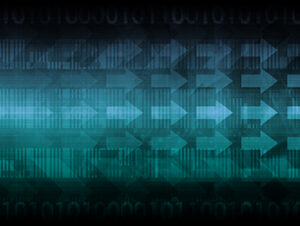 Reverse Engineering 4: Software Protection