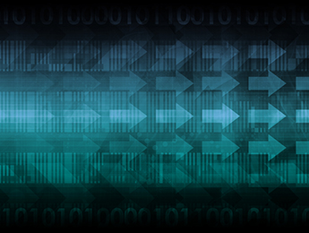 Reverse Engineering 4: Software Protection