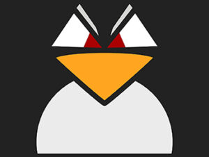 IT Linux Network Administration